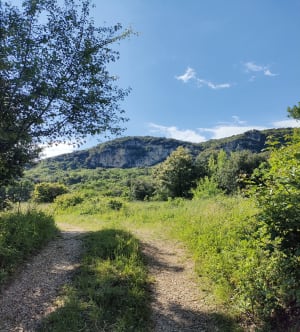 Plateau du Grézac et vieilles terres agricoles - Lodève - 2
