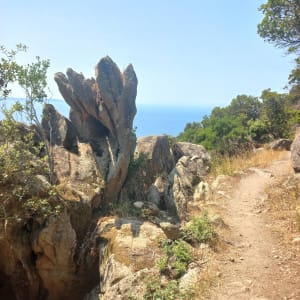 Les crêtes à Ajaccio - Ajaccio - 8