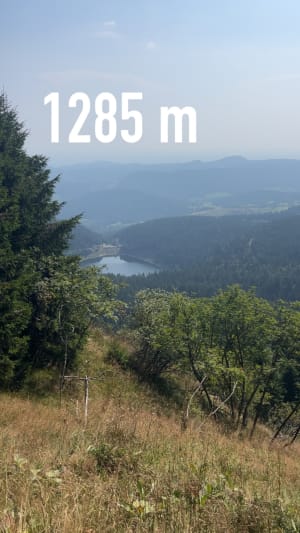 Grand tour du lac noir - Orbey - 6