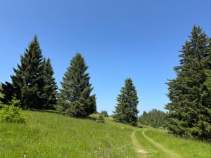 Crapahuter au Plateau de Sornin et respirer l'air pur - Engins - 5