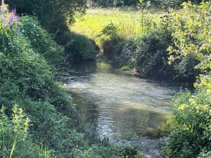 Autour de Presles en Brie - Presles-en-Brie - 17
