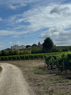 Balade entre Pièces de Choisy, Château de France et Lac bleu - Cestas - 2