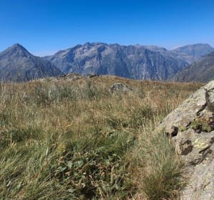 Sentier des chamois et balade du Cristallier - Hai - 4