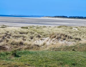 Ile et plage du bout du monde - Bricqueville-sur-Mer - 10