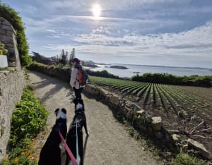 Grand tour de l'île de Batz et beauté de ses plages - Île de Batz - 72