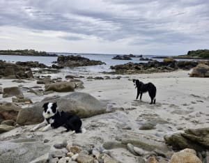 Grand tour de l'île de Batz et beauté de ses plages - Île de Batz - 73