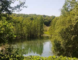 Cambes-de-Pujols, la randonnée du Cap de l’Homme - Cambes - 2