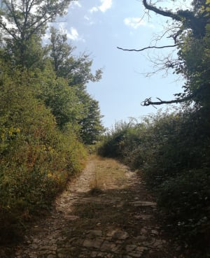 Petite boucle au départ de Vaux - Jalogny - 6