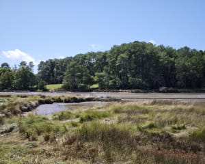 Le Listoir - Ria d’Etel - ludovic - 12