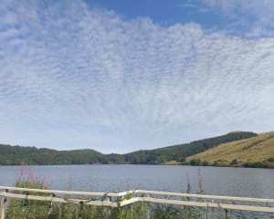 Le plateau du Guéry - Orcival - 7