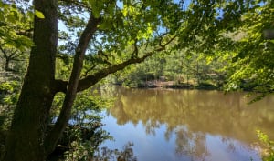 Jusqu'aux confins du Val sans Retour (Brocéliande) - Tréhorenteuc - 34