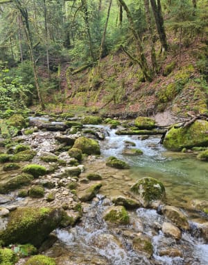 Boucle du Laudon et balade sur sentiers balisés à Saint-Jorioz - Saint-Jorioz - 6