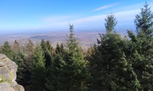 Mont Sainte-Odile vanaf de oostkant, vanuit Obernai - Obernai - 4