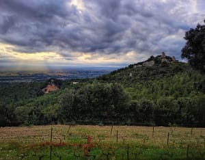 Belle balade dans les Dentelles de Montmirail - Beaumes-de-Venise - 31