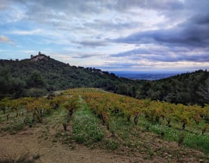 Belle balade dans les Dentelles de Montmirail - Beaumes-de-Venise - 32