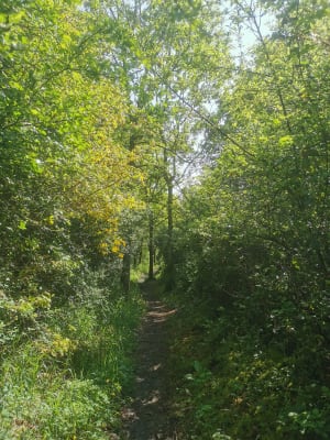 Petite boucle sud est du Val de Scie - Sylvie - 4
