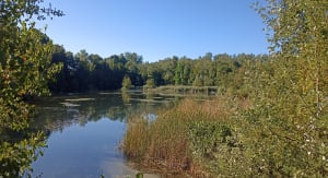 La base de loisirs de Wingles - Pont-à-Vendin - 5