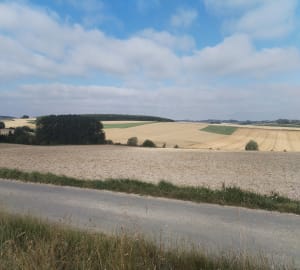 Sentier des Batailles à Thérouanne - Thérouanne - 6