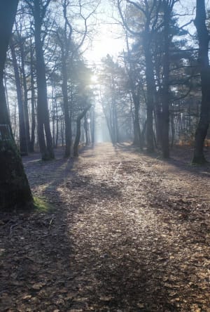 Grand tour d'Évreux, ville et forêt - Sophie - 2