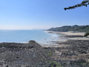 Balade entre Étables-sur-Mer et Saint-Quay-Portrieux - Binic-Étables-sur-Mer - 3
