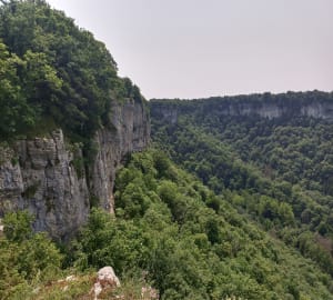 Petite aventure forestière à la Croix de Suchot de Baume-les-Messieurs - Baume-les-Messieurs - 17