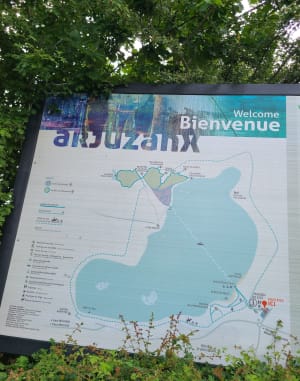 Promenade Lac d’Arjuzanx - Morcenx-la-Nouvelle - 7