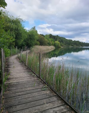 Promenade Lac d’Arjuzanx - Morcenx-la-Nouvelle - 8