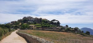 De Pigna a Sant-Antonino et Chapelle de la Nativité - Pigna - 19