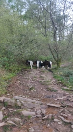 Dans les traces des douaniers - Urrugne - 13