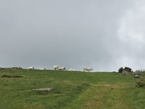 Au cœur du Val d'Azin et paysages à couper le souffle - Arbéost - 36