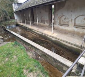Boucle Labergement les Seurre en passant par Chivres - Labergement-lès-Seurre - 3
