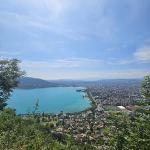 Balade en forêt et vue sur le lac d'Annecy - Annecy - 14