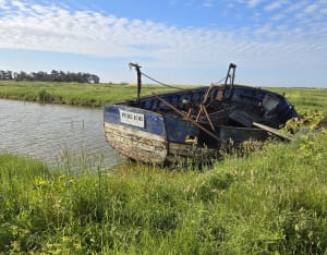 Entre marais et plage à Noirmoutier-en-l'île - Noirmoutier-en-l'Île - 10