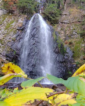 Randonnée aux cascades du Queureuilh, du Rossignolet et du Saut du Loup - Mont-Dore - 91