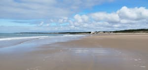 Petite balade Forêt et Plage près du Rocher ! - Longeville-sur-mer - 3