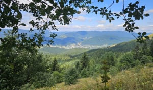 Villard-de-Lans, le col Vert et le GR® 91 - Villard-de-Lans - 4