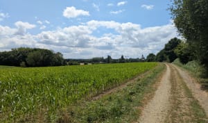 Balade de Corps-Nuds par les chemins de traverses - Corps-Nuds - 3