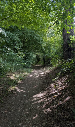 Balade de Corps-Nuds par les chemins de traverses - Corps-Nuds - 4
