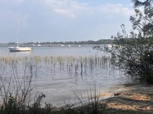 Aan de oevers van het Hourtin-meer en in de schaduw van de hoge pijnbomen - Carcans - 3