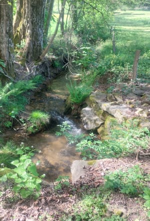 Excursion à Alboussière et chasse aux châtaignes ! - Alboussière - 8
