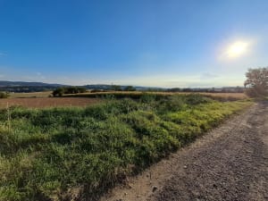 Saint-Symphorien-d'Ozon et Cussinettes - Saint-Symphorien-d'Ozon - 2