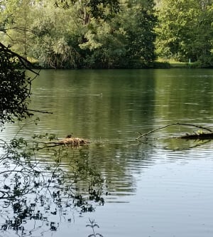 Tour de la vallée des Miroirs et paresse aquatique - Clo08 - 3