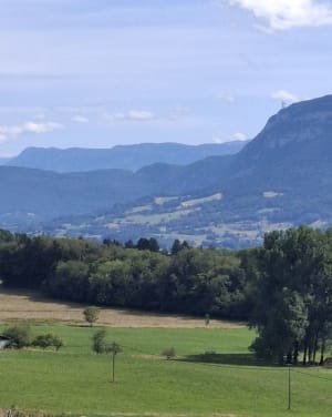 Flâner en forêt de Miribel-les-Echelles et sa superbe flore - Miribel-les-Echelles - 5
