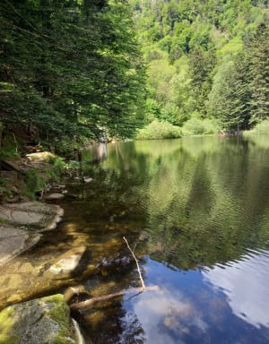Lac du Fischboedle par la vallée de la Wormsa - Metzeral - 6