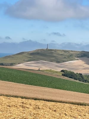 Autour du Cap Blanc Nez - Escalles - 15