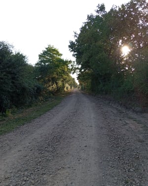 Balade entre deux rives Poiré sur Vie - Le Poiré-sur-Vie - 12