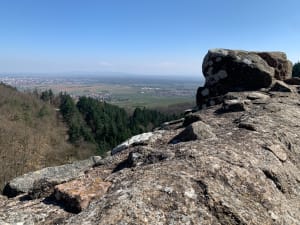 Châteaux alsaciens depuis Husseren-les-Châteaux - Audrey - 5