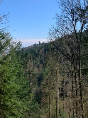 Châteaux alsaciens depuis Husseren-les-Châteaux - Audrey - 6