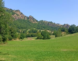 La porte du lion de Thiézac et la cascade Lafon - Thiézac - 4