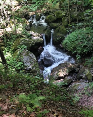 Onderdompeling in het hart van de Carança-kloven - Thuès-Entre-Valls - 52